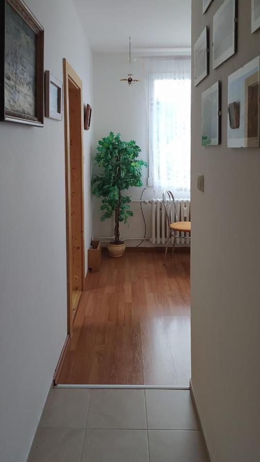 Apartman V Srní Kültér fotó